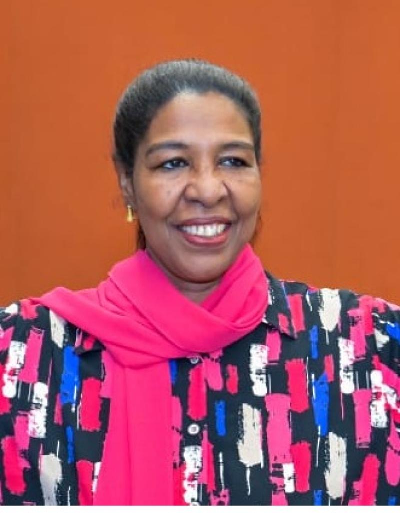 بداية غير مطمئنة، اقرار بالفشل في قمة القادة ،كوب(30 )مدينة بيليم/ البرازيل