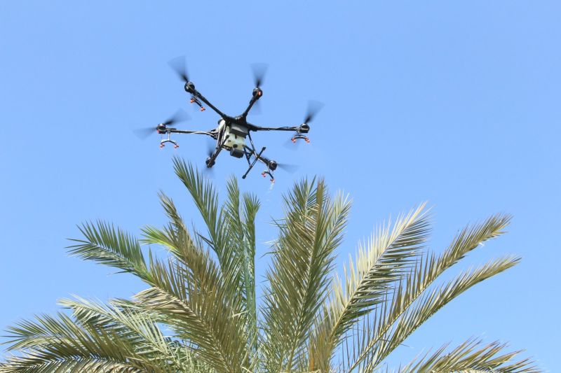 عيون في السماء تقرأ عطش النخيل.. قصة ثورة زراعية سعودية بدأت بطائرة بدون طيار